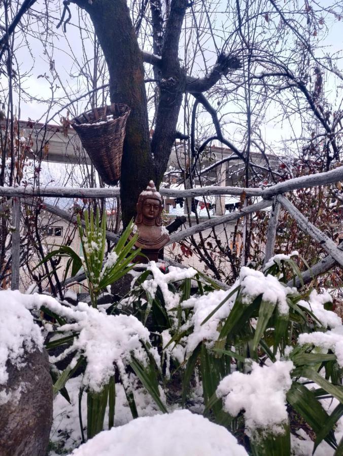 Mars Monkey Hostel & Cafe Manāli Екстериор снимка