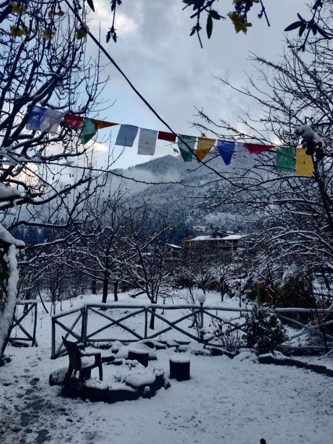 Mars Monkey Hostel & Cafe Manāli Екстериор снимка