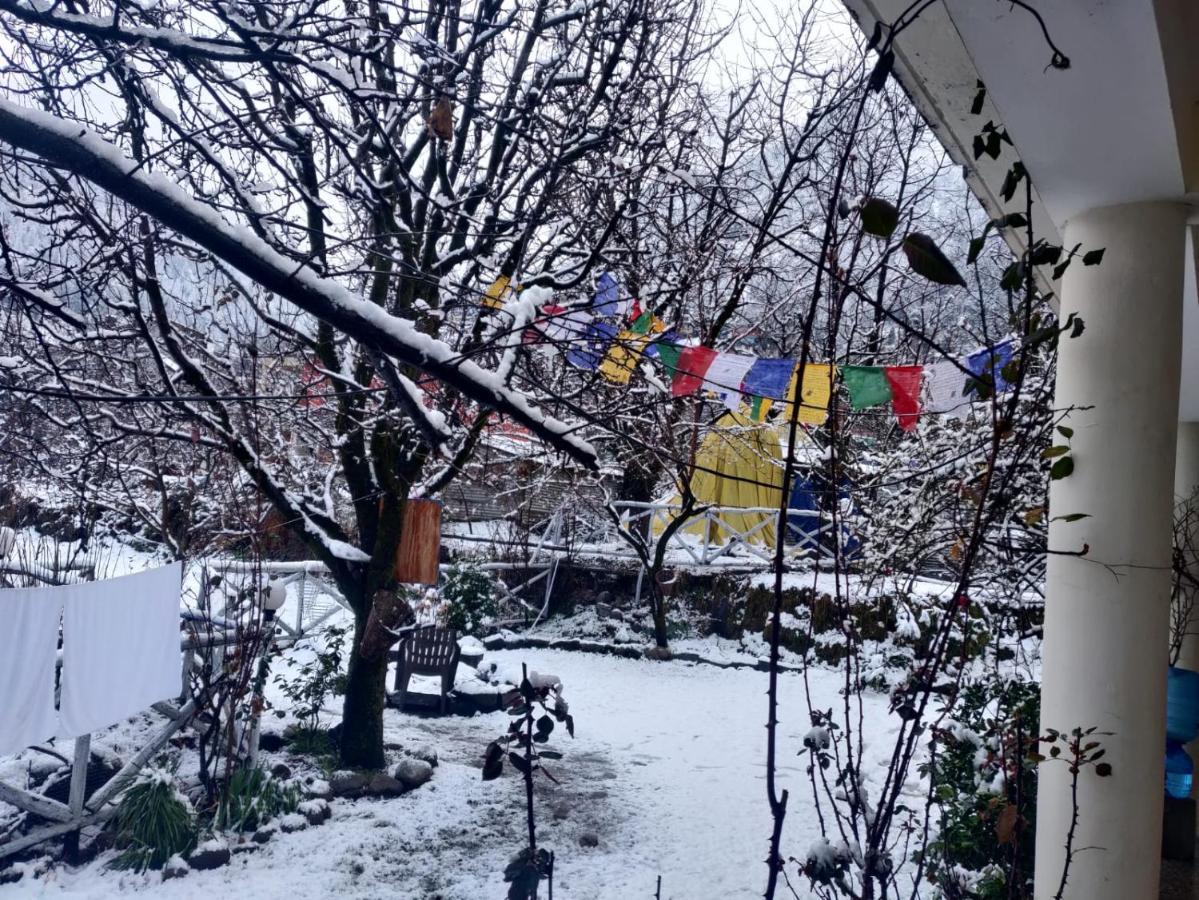 Mars Monkey Hostel & Cafe Manāli Екстериор снимка