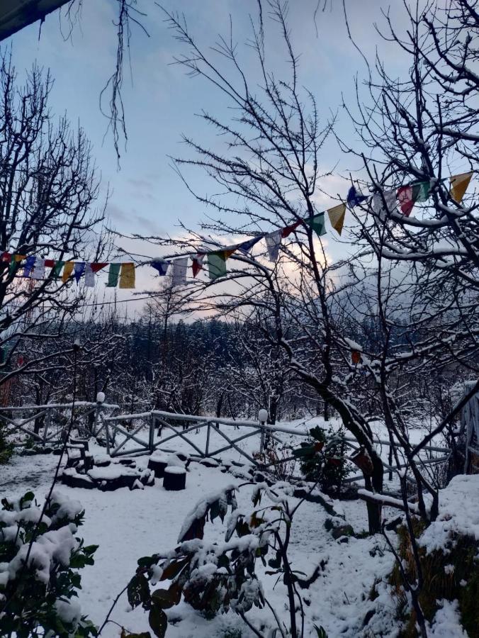 Mars Monkey Hostel & Cafe Manāli Екстериор снимка
