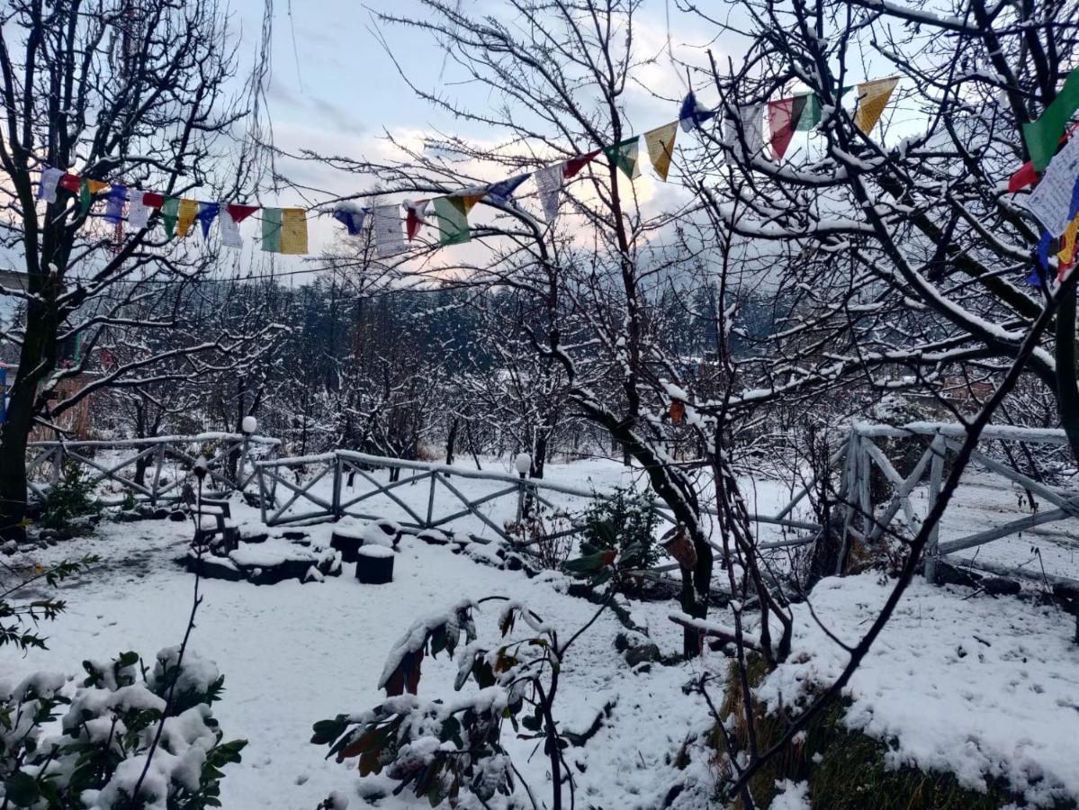 Mars Monkey Hostel & Cafe Manāli Екстериор снимка